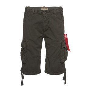 ALPHA INDUSTRIES Nohavice 'Jet'  tmavosivá