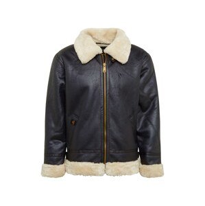 ALPHA INDUSTRIES Zimná bunda 'B3 FL'  čierna