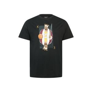 Mister Tee Tričko 'King James'  zmiešané farby / čierna