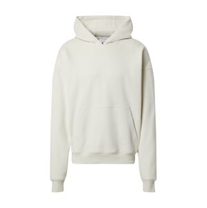 DAN FOX APPAREL Mikina 'Dean'  šedobiela