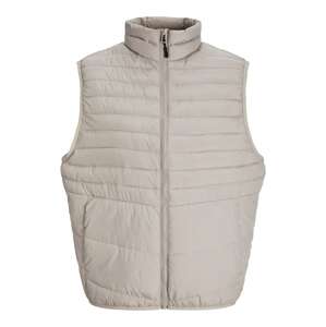 JACK & JONES Vesta 'JJEState'  svetlosivá