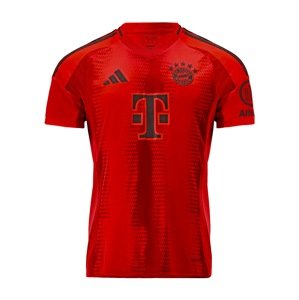 ADIDAS PERFORMANCE Dres 'FC Bayern München 2024/2025'  červená / tmavočervená / čierna