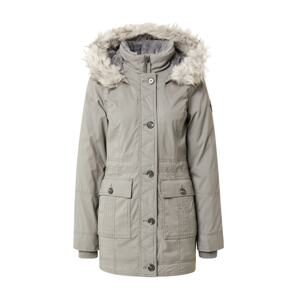 HOLLISTER Zimná parka  sivá