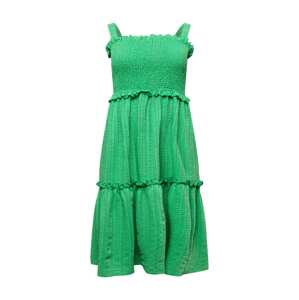 Nasty Gal Plus Letné šaty  jablková