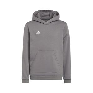 ADIDAS PERFORMANCE Športová mikina 'Entrada 22 Sweat'  sivá melírovaná / biela