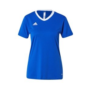 ADIDAS PERFORMANCE Dres 'Entrada 22'  kráľovská modrá / biela