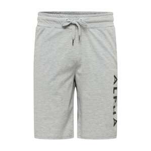 ALPHA INDUSTRIES Nohavice  sivá / čierna