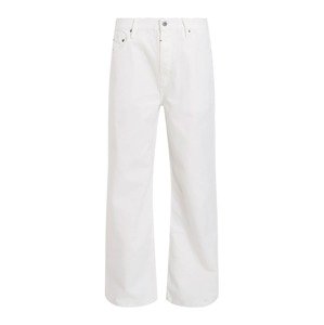 AllSaints Džínsy 'LENNY'  biely denim