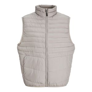 JACK & JONES Vesta 'JJEState'  svetlosivá