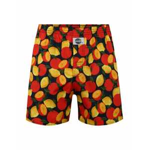 D.E.A.L International Boxerky 'Fruits'  tmavomodrá / žltá / zelená / oranžovo červená