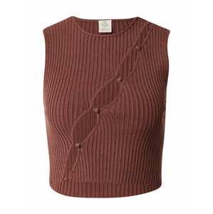 BDG Urban Outfitters Top  hnedá