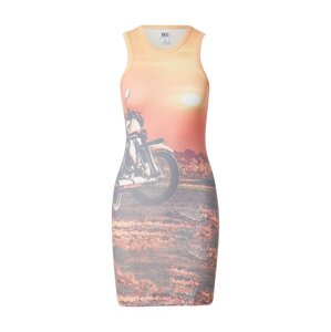 BDG Urban Outfitters Šaty  oranžová / čierna / biela