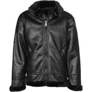 ALPHA INDUSTRIES Zimná bunda 'B3 FL'  čierna