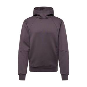 Champion Authentic Athletic Apparel Mikina  sivá / tmavosivá