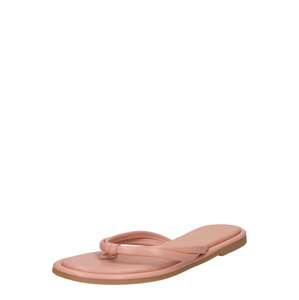 Dorothy Perkins Žabky  púdrová
