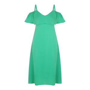 Dorothy Perkins Petite Šaty  trávovo zelená