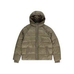DC Shoes Outdoorová bunda  tmavozelená