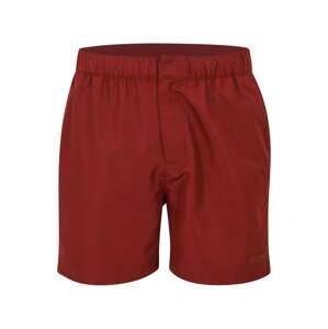 Calvin Klein Swimwear Plavecké šortky  bordová