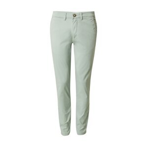 SELECTED Chino nohavice 'SLHNEW MILES 175 FLEX'  mätová