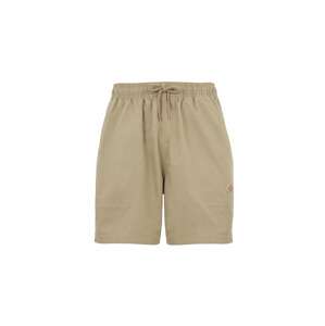 DICKIES Nohavice 'Pelican'  piesková