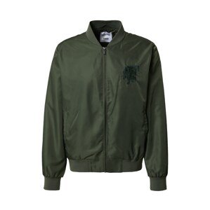 DAN FOX APPAREL Prechodná bunda 'Rasmus'  tmavozelená