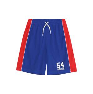 Champion Authentic Athletic Apparel Nohavice  zafírová / červená / biela