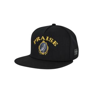 Cayler & Sons Čiapka 'Praise the Chronic'  modrosivá / zlatá žltá / čierna / biela