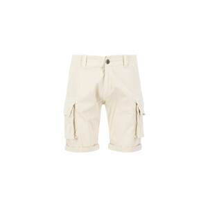 ALPHA INDUSTRIES Kapsáče  béžová / biela