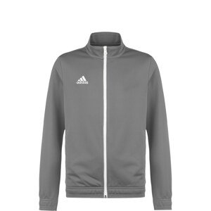 ADIDAS PERFORMANCE Športová bunda 'Entrada 22'  čadičová / biela