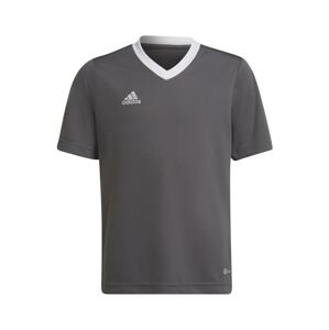 ADIDAS PERFORMANCE Funkčné tričko 'Entrada 22'  grafitová / biela