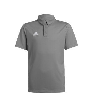 ADIDAS PERFORMANCE Funkčné tričko 'Entrada 22'  sivá / šedobiela