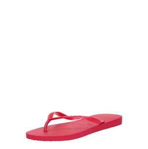 HAVAIANAS Žabky 'Slim'  purpurová