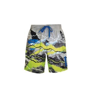 wavebreaker Plavecké šortky  tmavomodrá / limetková / sivá / čierna
