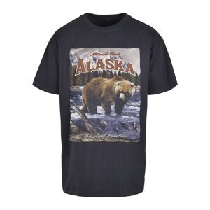 Mister Tee Tričko 'Alaska'  námornícka modrá / svetlomodrá / svetlohnedá / trstinová