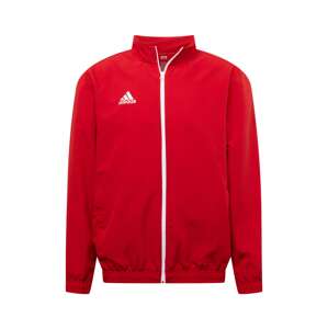 ADIDAS PERFORMANCE Športová bunda 'Entrada 22'  červená / biela