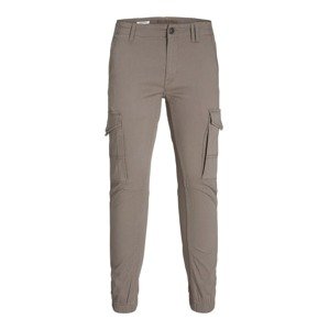 Jack & Jones Junior Nohavice 'JNRPau JJFlake'  svetlohnedá