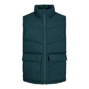 JACK & JONES Vesta 'Vesterbro'  tmavozelená