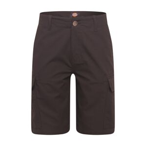 DICKIES Kapsáče  čierna