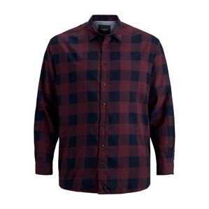 Jack & Jones Plus Košeľa 'JJEGINGHAM'  fialová / čierna
