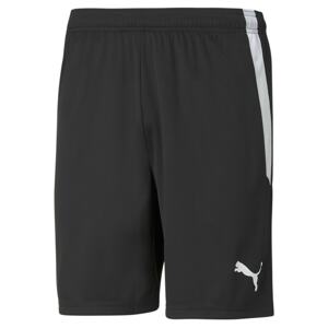 PUMA Športové nohavice 'TeamLiga'  čierna / biela
