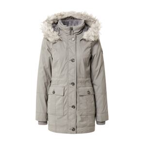 HOLLISTER Zimná parka  sivá