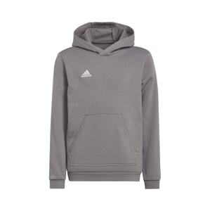 ADIDAS PERFORMANCE Športová mikina 'Entrada 22 Sweat'  sivá melírovaná / biela
