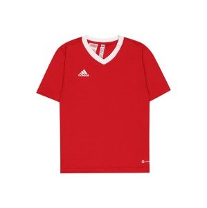 ADIDAS PERFORMANCE Funkčné tričko 'Entrada 22'  ohnivo červená / biela