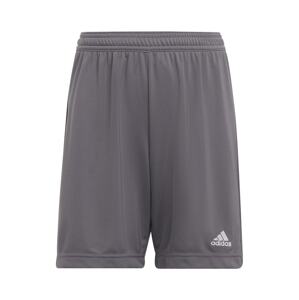 ADIDAS PERFORMANCE Športové nohavice 'Entrada 22'  tmavosivá / biela