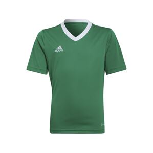 ADIDAS PERFORMANCE Funkčné tričko 'Entrada 22'  trávovo zelená / biela