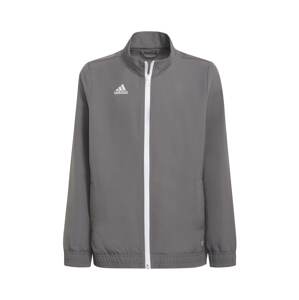 ADIDAS PERFORMANCE Športová bunda 'Entrada 22 Presentation'  sivá / biela