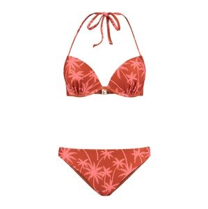 Shiwi Bikiny 'LUCA'  gaštanová / svetlohnedá