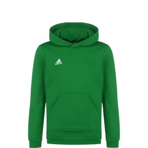 ADIDAS PERFORMANCE Športová mikina 'Entrada 22'  zelená / biela