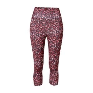 Dorothy Perkins Legíny  malinová / vínovo červená / čierna / biela
