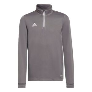 ADIDAS PERFORMANCE Športová mikina 'Entrada 22'  tmavosivá / biela
